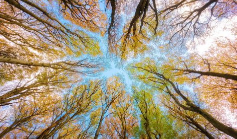 Breathing Earth_Thumb_YT_NoText